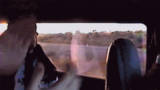 brobecks dallon gif