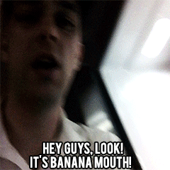 dallon gif