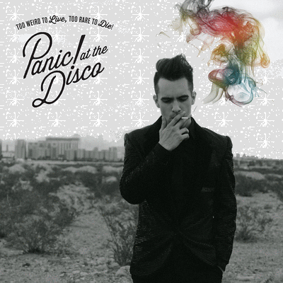 misc dallon gif